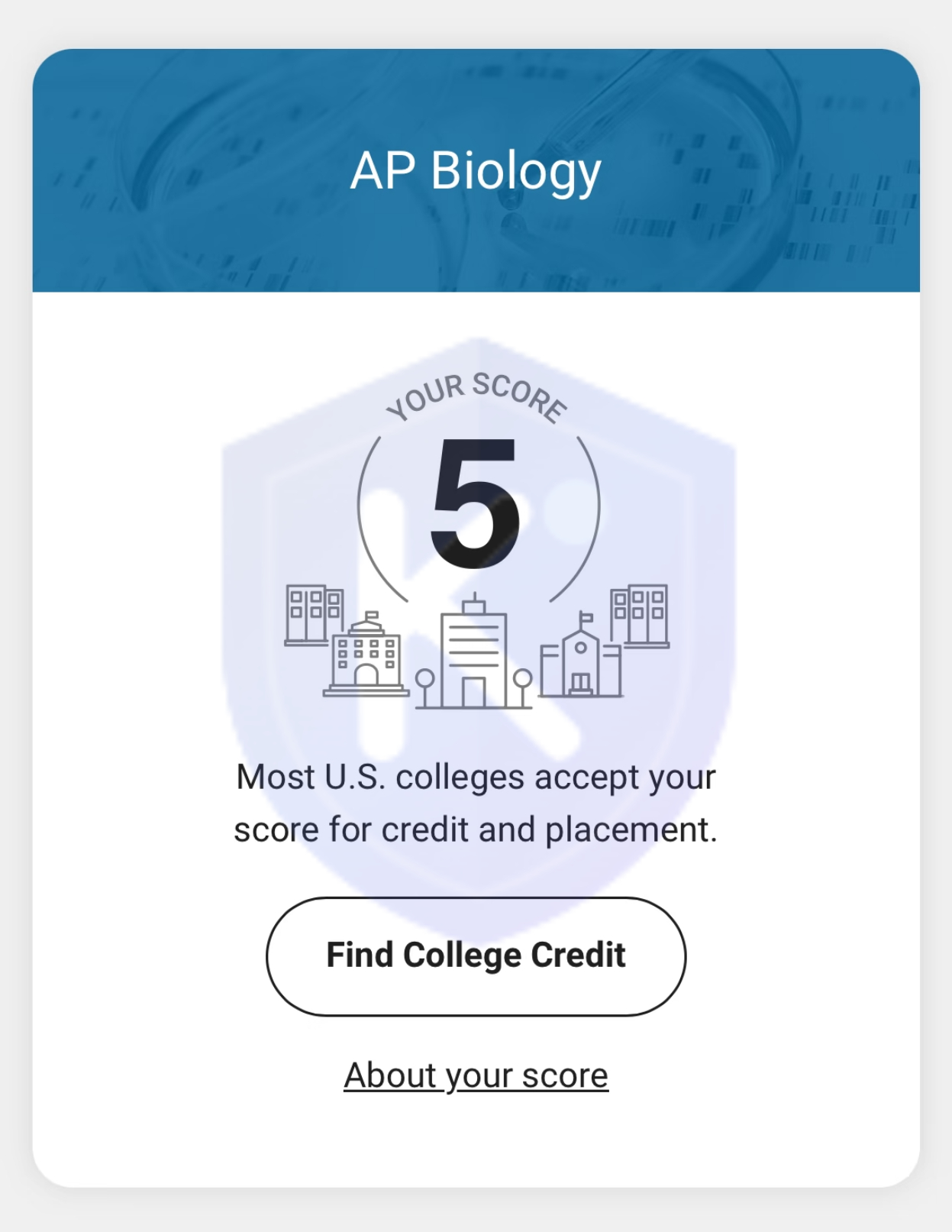 AP 5